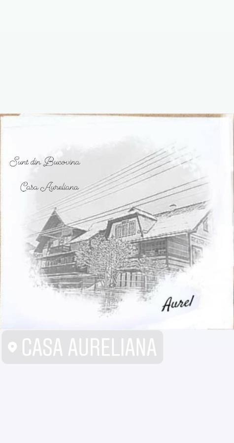 הוילה Ciocanesti Casa Aureliana מראה חיצוני תמונה