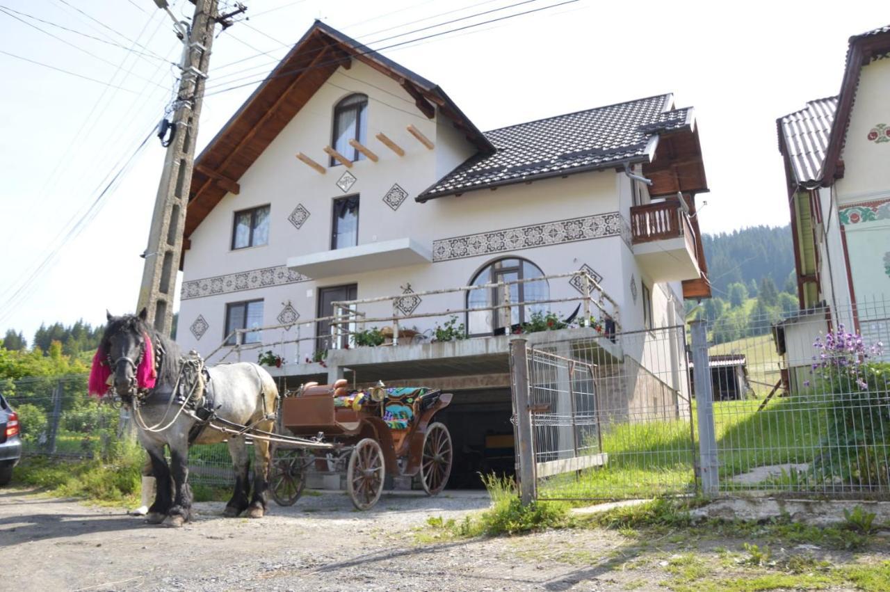 הוילה Ciocanesti Casa Aureliana מראה חיצוני תמונה