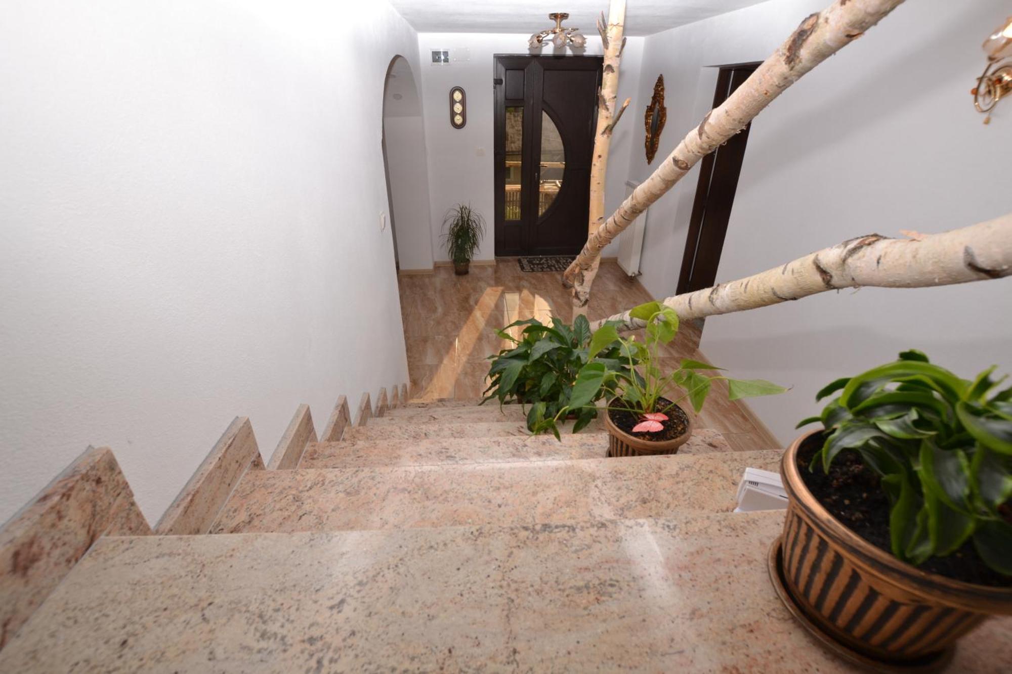 הוילה Ciocanesti Casa Aureliana מראה חיצוני תמונה